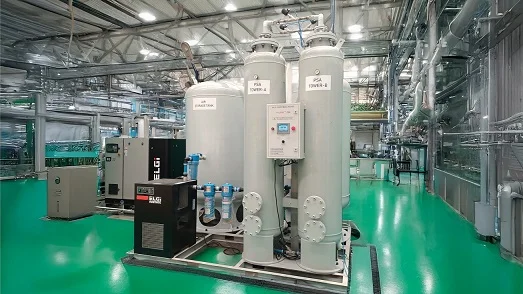 PSA Oxygen Generation Plant-200 LPM